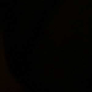 Meet your Posher, Ashliee